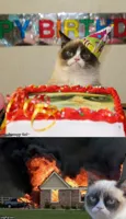 Grumpy cat consequences