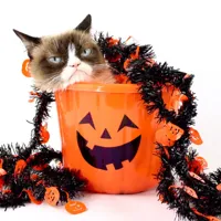 Grumpy Cat Halloween