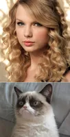 Grumpy Cat says "no" to Taylor Swift as NYC Global Welcome Ambas