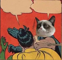 Grumpy Cat Slapping Robin