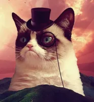 Grumpy Cat Top Hat