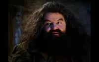 hagrid yer a wizard