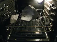 halloween oven clean