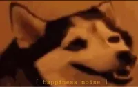 happines noise