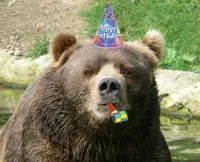 Happy Birthday Bear