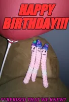 Happy Birthday Wormies