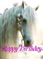 Horse birthday