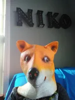 I got I Doge mask for my cousin (applelucas)'s Christmas present