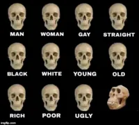 idiot skull