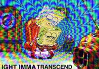 IGHT IMMA TRANSCEND