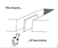 Illusion of free choice