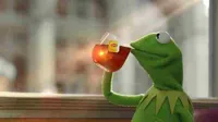 Kermit sipping tea