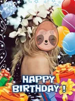 Kylie sloth happy birthday