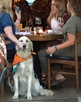 Lady holds Dogs mouth shut