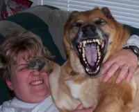 laughing dog