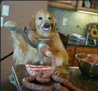 MEAT DOG