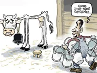 milking the cow