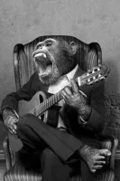 Monkey birthday jam