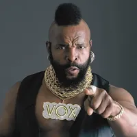 Mr T Pity The Fool