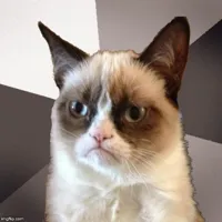 Musically Malicious Grumpy Cat