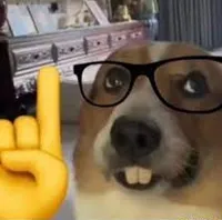 nerd dog