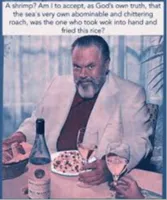 orson welles shrimp fried rice 