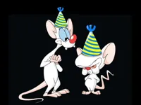 Pinky and the Brain birthday hats