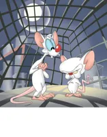 Pinky and the brain