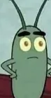 plankton with two eyes