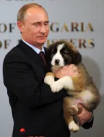 Putin birthday puppy