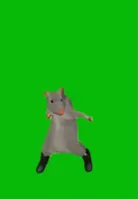 rat dance