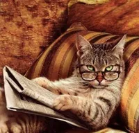 Reading Cat with Glasses