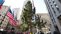 Rockefeller Christmas tree