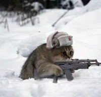 russian cat