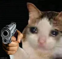 Sad cat pointing gun