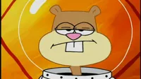 Sandy Cheeks is not impressed