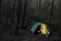 Scared camping spongebob