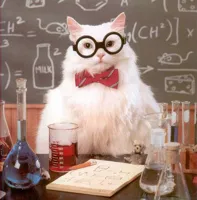 Science Cat