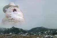 Screaming Cowboy Cat