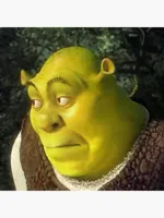 Shrek face