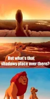 Simba Shadowy Place