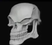 skull trollface