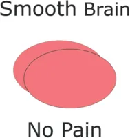 smooth brain