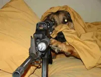 Sniper Dog