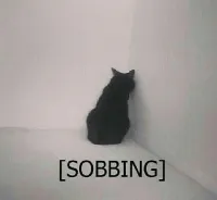 Sobbing cat