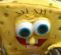 spongboob