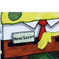 spongebob meme expert