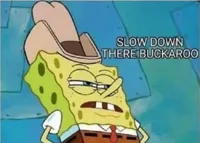 spongebob slow down there buckaroo