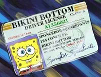 Spongebob Squarepants' Driver License