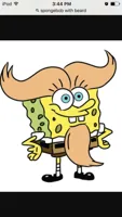 Spongebob with beard